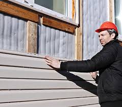 Best Vinyl Siding Installation  in Columbus, MN